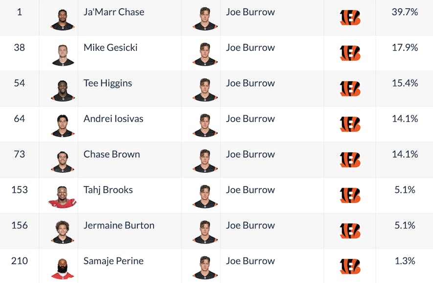 burrow